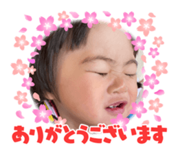 396473032