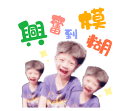 396504337