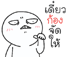 39653219