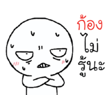 39653229