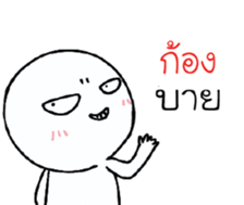 39653232