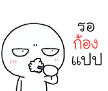 39653234