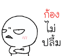 39653236