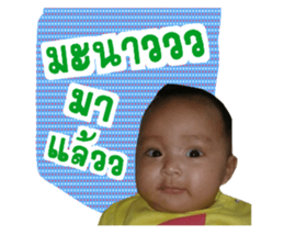 39653699