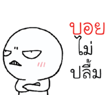 39655036