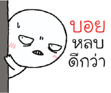 39655045