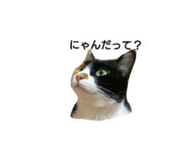 39659601