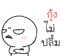 39660196