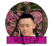 396603102
