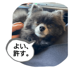 396616743