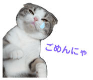 396636896