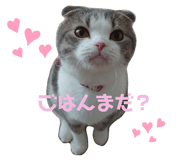 396636898