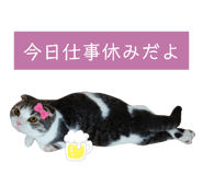 396636906