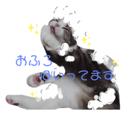 396636907
