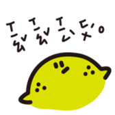396654579