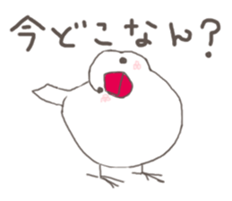 3966751
