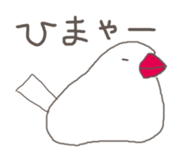 3966755