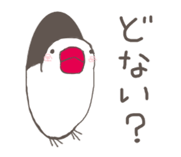 3966757