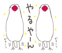 3966776