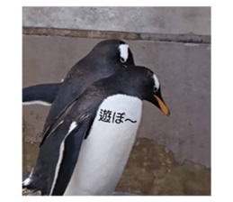 396696924