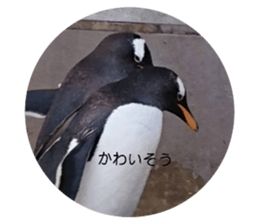 396696925