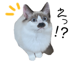 396697217