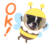 396697660