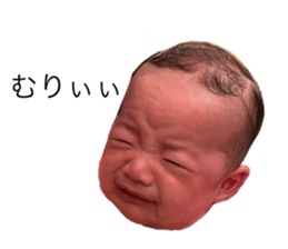 396706059