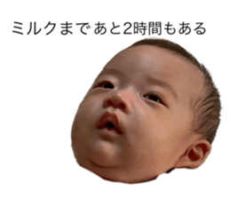 396706060