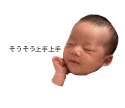 396706061
