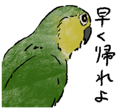 396738225