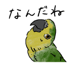 396738256