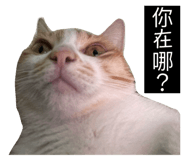 396770716