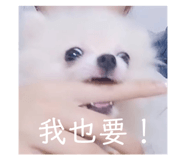 396791293
