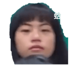 396813345