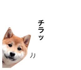 396829170