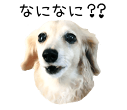 39695839