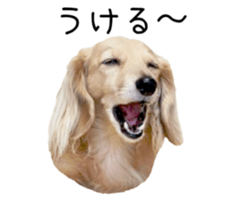 39695840