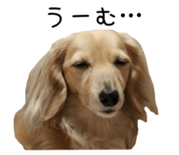 39695842