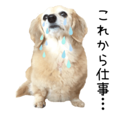 39695848