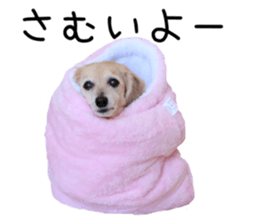 39695853
