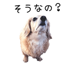 39695863