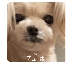 396969428
