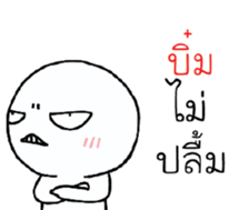 39699116