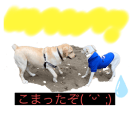 397035291
