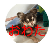 397040551