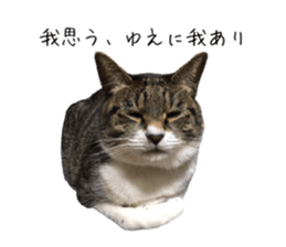 397057975