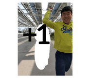 397060120