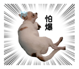 397118899