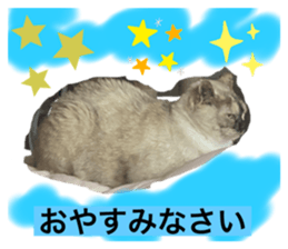 397140930